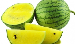 皮小浪的吃瓜爆料,娱乐圈幕后吃瓜大事件